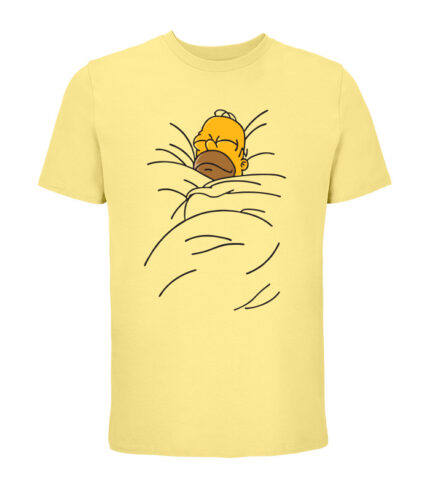 homer sleaping
