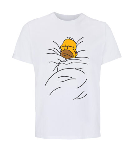 homer sleaping