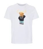 cool teddy