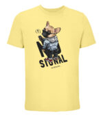 no signal