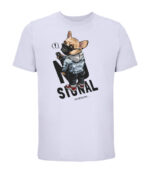 no signal