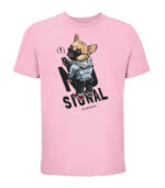 no signal