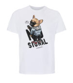 no signal