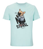 no signal