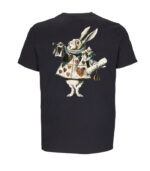 Alice in wonterland