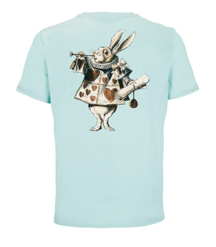 Alice in wonterland