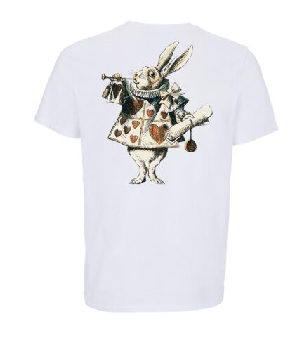 Alice in wonterland
