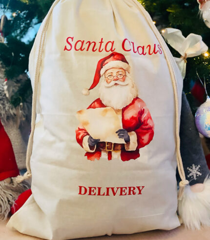 Santa Claus Delivery