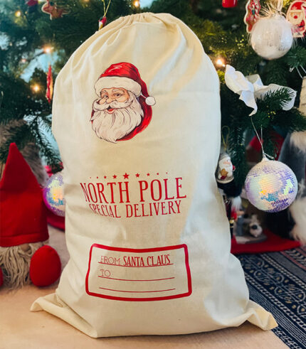 north pole