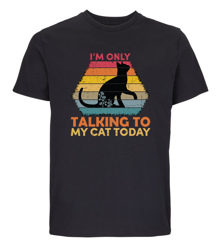 Only Talking To My cat