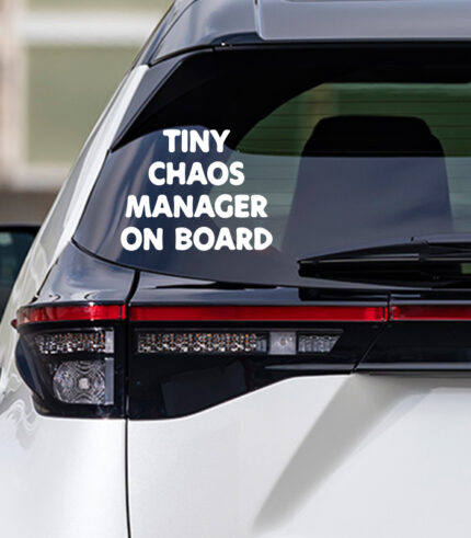 Baby on Board Tiny Chaos Manager
