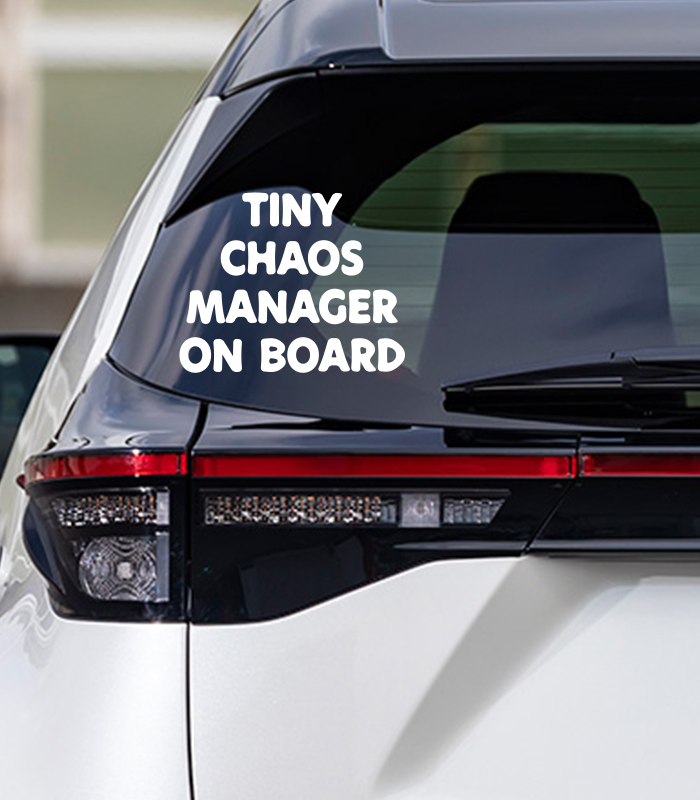 Baby on Board Tiny Chaos Manager