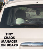 Baby on Board Tiny Chaos Manager