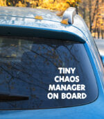 Baby on Board Tiny Chaos Manager