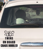 Baby on Board Twins Chaos Doubled