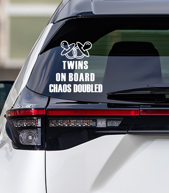 Baby on Board Twins Chaos Doubled